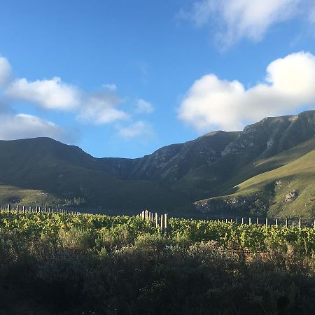 Villa Misty Mountains à Hermanus Extérieur photo