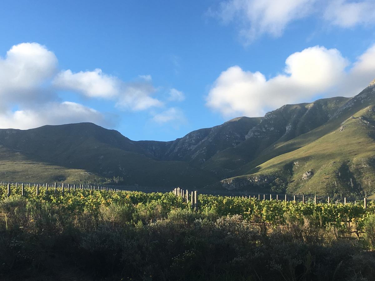 Villa Misty Mountains à Hermanus Extérieur photo
