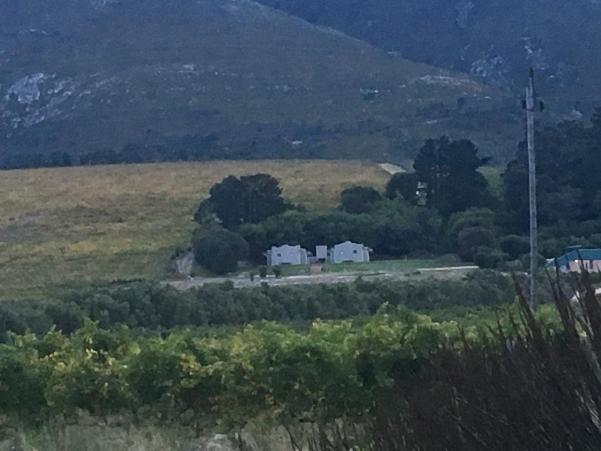 Villa Misty Mountains à Hermanus Extérieur photo
